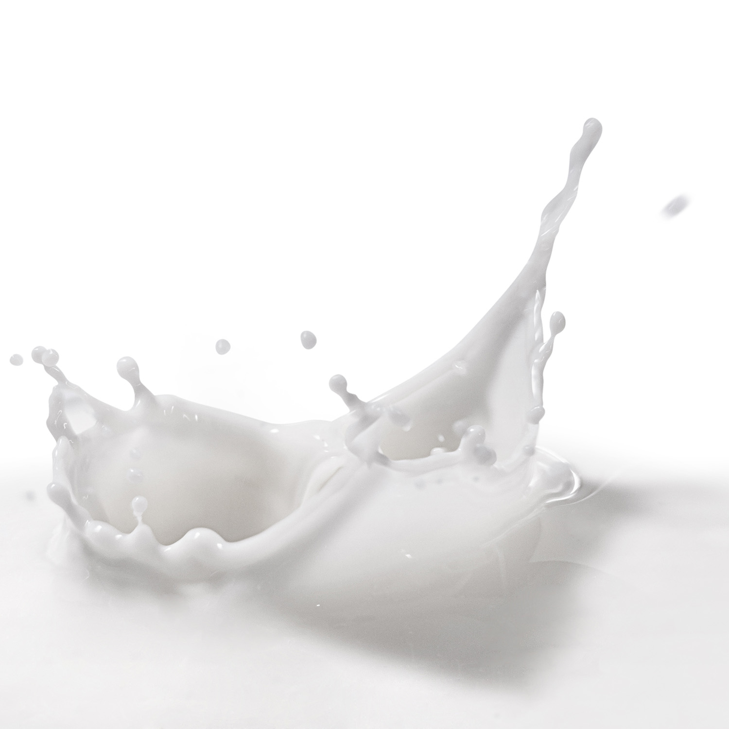 Milk Base - Leagel